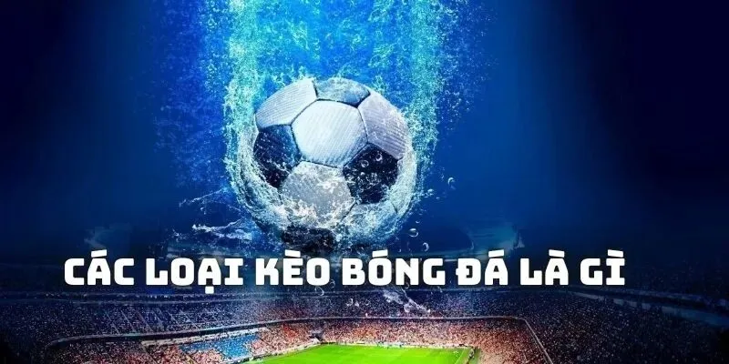 Các Loại Kèo Trong Bóng Đá Theo Dõi Thông Tại Nowgoal 2 Giải thích khái niệm liên quan tới kèo bóng đá là gì