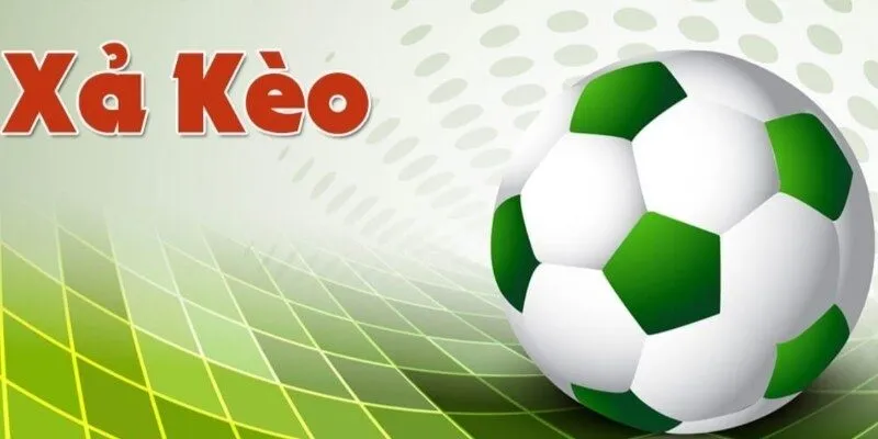 huong dan cach huy ve cuoc the thao 3