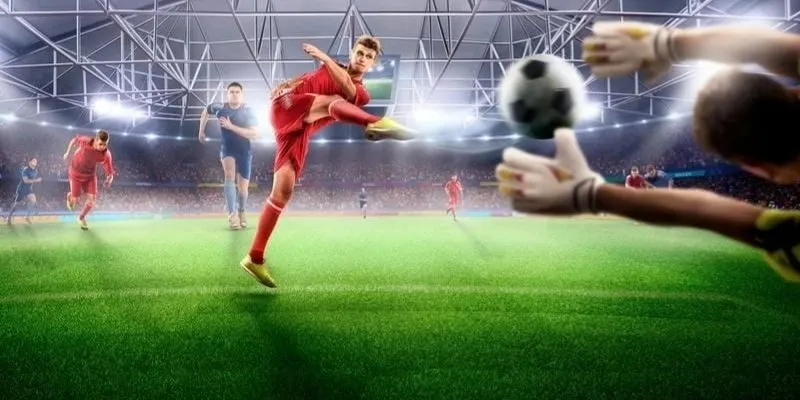 Hướng Dẫn Cách Huỷ Vé Cược Thể Thao Nhanh, Chính Xác 4 Chú ý cần biết khi làm theo hướng dẫn cách huỷ vé cược thể thao