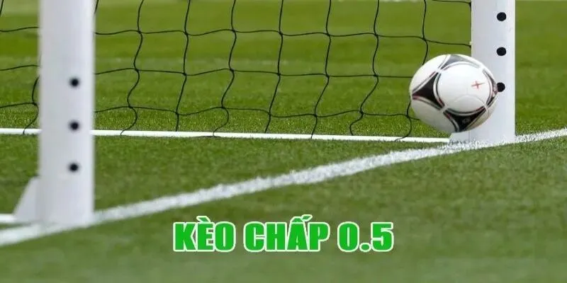 keo chap nua trai ava