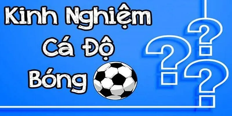 Tip Bóng Đá Miễn Phí - Mẹo Chinh Phục Kèo Bóng Đá Nowgoal 2 Tip bóng đá miễn phí bóng đá cho người mới