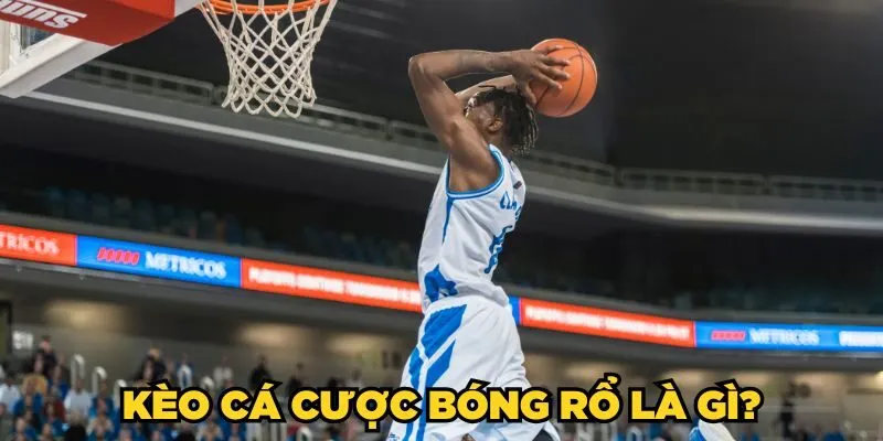 Tỷ Lệ Bóng Rổ Nowgoal, Cập Nhật Nhanh, Chuẩn Xác Và Hữu Ích 2 Vì sao nên theo dõi tỷ lệ bóng rổ trên Nowgoal?